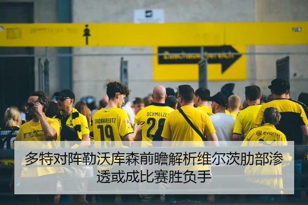 多特对阵勒沃库森前瞻解析维尔茨肋部渗透或成比赛胜负手（kaiyun）
